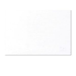 CARTOLINA CANSON BLANC 185 G. 50X65 -FULL- 1897