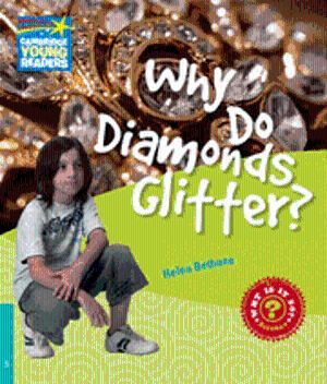 WHY DO DIAMONDS GLITTER? LEVEL 5 FACTBOOK