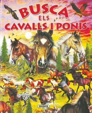BUSCA ELS CAVALLS I PONIS
