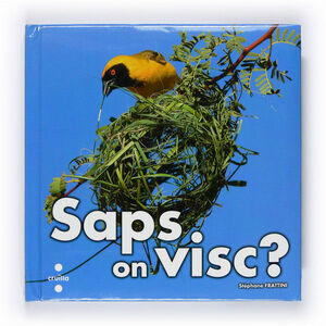 SAPS ON VISC