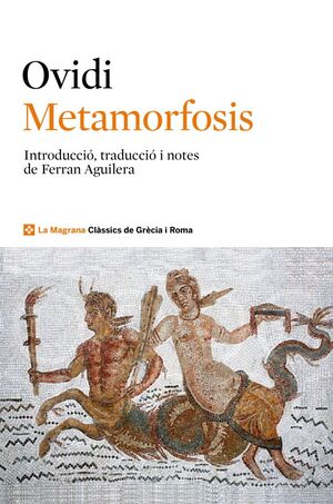 METAMORFOSIS N.E.