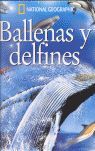 BALLENAS Y DELFINES LOS EXPLORADORES DE