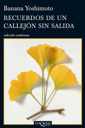 RECUERDOS DE UN CALLEJON SIN SALIDA A-762